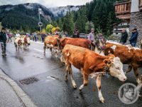 59IMG_20240928_113655-Kopie