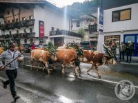 5IMG_20240928_101758_1-Kopie