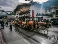 6IMG_20240928_101757-Kopie