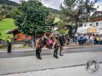 76IMG_20240928_122348-Kopie