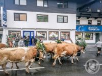 7IMG_20240928_101802-Kopie