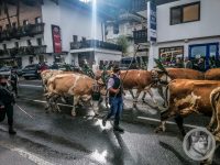 8IMG_20240928_101803-Kopie