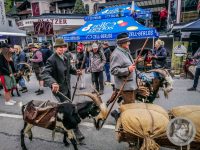 94IMG_20240928_130000-Kopie