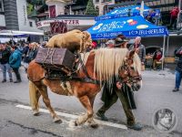 96IMG_20240928_130014-Kopie