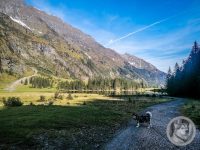 20IMG_20240923_101542-Kopie