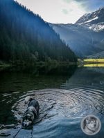 9IMG_20240923_100206-Kopie