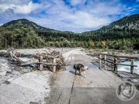 14IMG_20240924_111505-Kopie