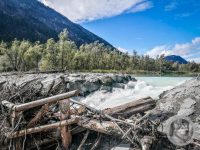 17IMG_20240924_111528-Kopie