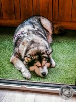 1IMG_20240924_092800-Kopie