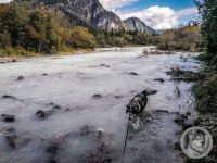 22IMG_20240924_112315-Kopie