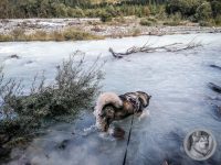 23IMG_20240924_112328-Kopie