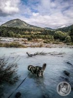 24IMG_20240924_112332-Kopie