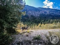 28IMG_20240924_112410-Kopie