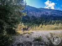 29IMG_20240924_112411-Kopie