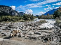 8IMG_20240924_111409-Kopie