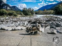 9IMG_20240924_111420-Kopie