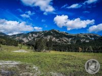 31IMG_20240924_120219-Kopie
