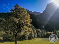 34IMG_20240924_120439-Kopie