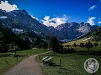 39IMG_20240924_121213-Kopie