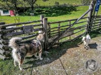 54IMG_20240924_123916-Kopie