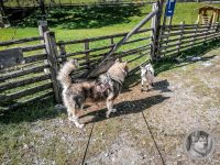 56IMG_20240924_123922-Kopie