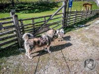 57IMG_20240924_123923-Kopie