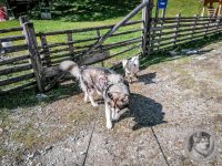 58IMG_20240924_123928-Kopie