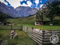 60IMG_20240924_124010-Kopie