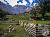 61IMG_20240924_124011-Kopie