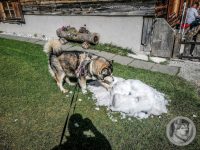 65IMG_20240924_130004-Kopie