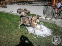 66IMG_20240924_130005-Kopie