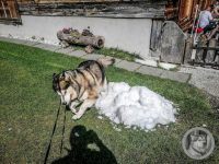 67IMG_20240924_130006_1-Kopie