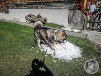 69IMG_20240924_130005_1-Kopie