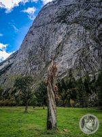 72IMG_20240924_132522-Kopie