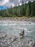 76IMG_20240924_133701-Kopie