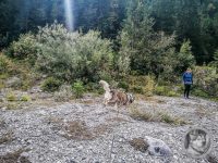 79IMG_20240924_133733-Kopie