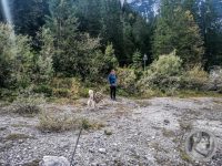 80IMG_20240924_133733_1-Kopie