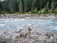 82IMG_20240924_133802-Kopie