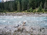 84IMG_20240924_133804-Kopie