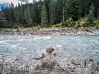 85IMG_20240924_133805-Kopie