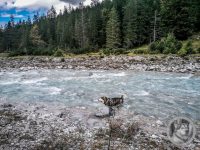 87IMG_20240924_133807-Kopie