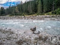 88IMG_20240924_133810-Kopie