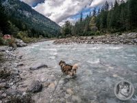 89IMG_20240924_133824-Kopie