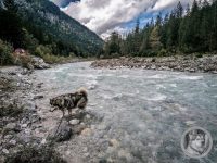 90IMG_20240924_133827-Kopie