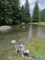 IMG_20200731_124518