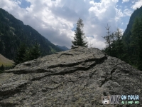 IMG_20200731_124623