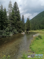 IMG_20200731_124634