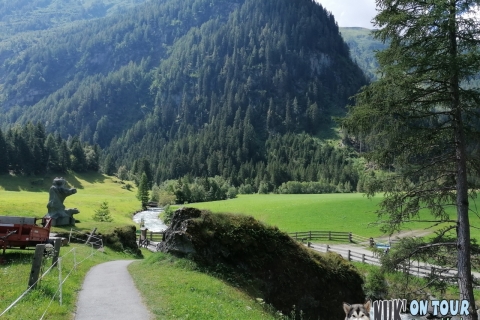 Islitzeralm bei den Umbalfällen im Virgental (29.07.2020)