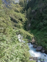 IMG_20200729_114303