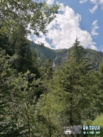 IMG_20200729_115253